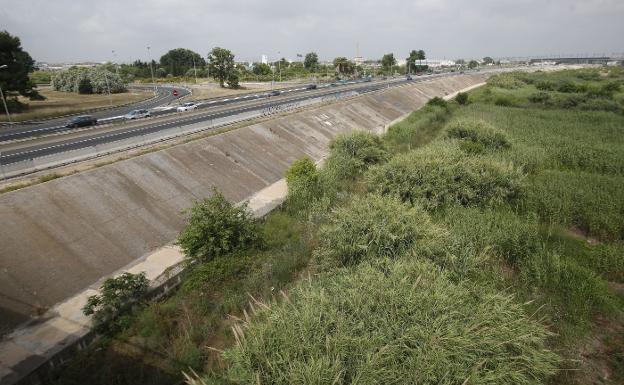 Ecologistas Piden Incluir Un Nuevo Cauce Dentro Del Parque Natural Del